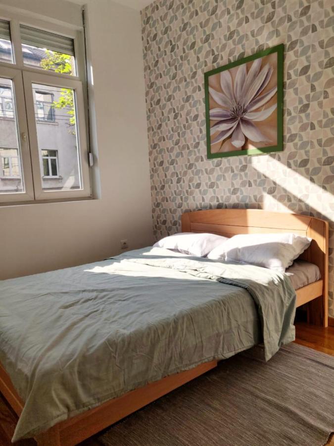 Lux Center Of Belgrade 2 Bedrooms, Sleeps 6 - Free Parking المظهر الخارجي الصورة