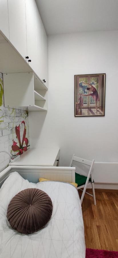 Lux Center Of Belgrade 2 Bedrooms, Sleeps 6 - Free Parking المظهر الخارجي الصورة